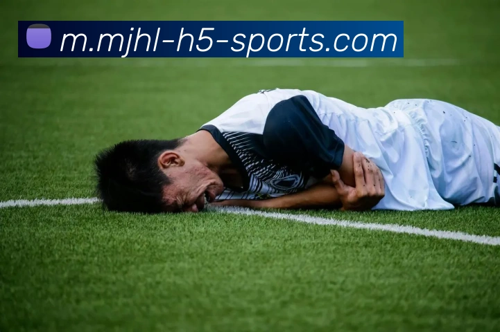 麻将胡了平台生态图